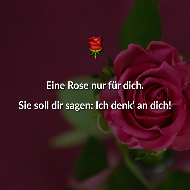 Eine Rose nur für dich.
Sie soll dir sagen: Ich denk' an dich!
