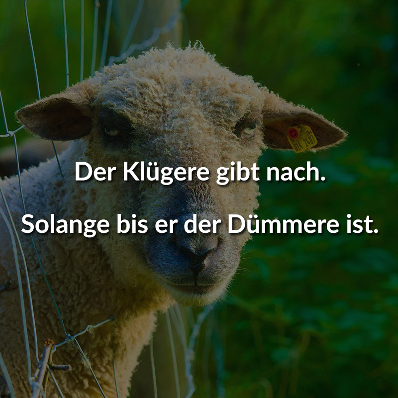 Der Klügere gibt nach. Solange bis er der Dümmere ist.