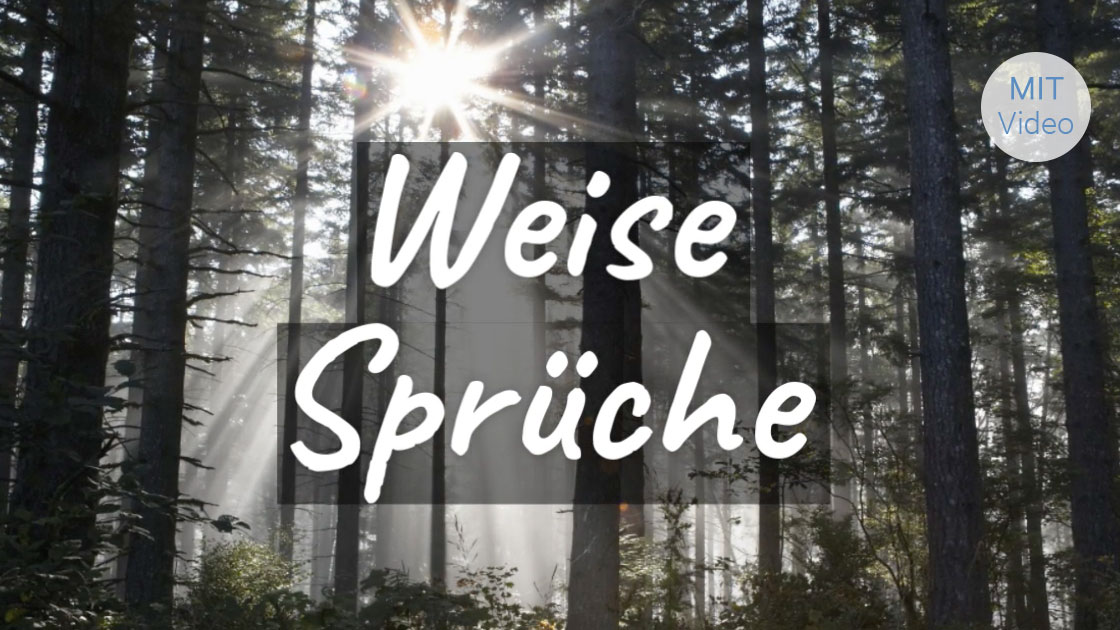 ᐅ Beliebte Weise Sprüche